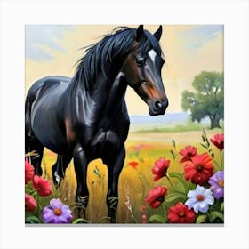 Black Horse Canvas Print