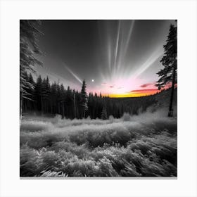 Infrared Photography 1 Canvas Print