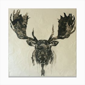 Moose Head Canvas Print