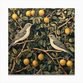 Birds In A Lemon Tree Art Canvas Print