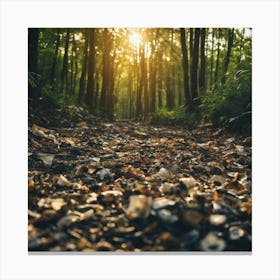 Forest Path At Sunset Canvas Print
