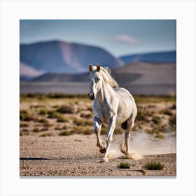 White Horse Galloping In The Desert Canvas Print