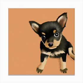 Cute Chihuahua Canvas Print