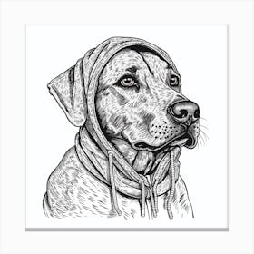 Dog In A Hoodie 2 Canvas Print