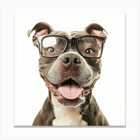 Pit Bull Dog Wearing Glasses Canvas Print