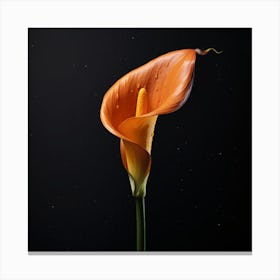 Calla Lily Canvas Print