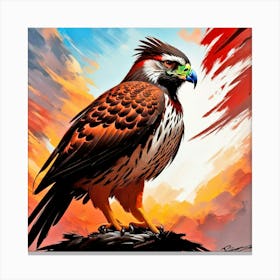 Hawks 2 Canvas Print