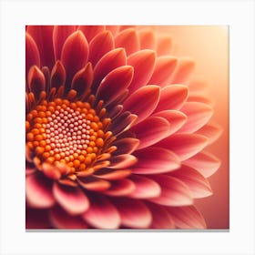 Close Up Of A Pink Flower 1 Canvas Print