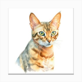 Ocicat Cat Portrait 3 Canvas Print