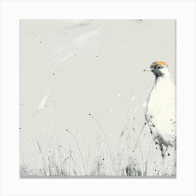 Pheasant 1 Canvas Print