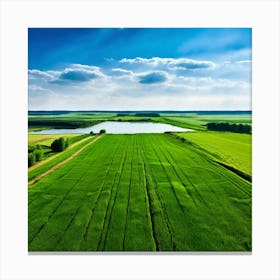 Grass Peace Air Structure Pasture Soy Bean High Country Rural Green Farm Overhead Natur (4) Canvas Print