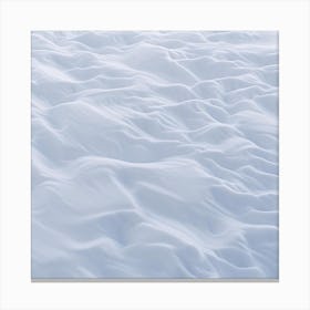 Snowy Landscape Canvas Print