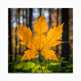 Maple Leaf Canvas Print