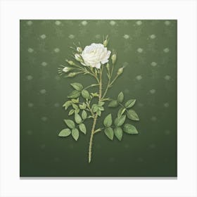 Vintage White Rose of Rosenberg Botanical on Lunar Green Pattern n.0276 Canvas Print