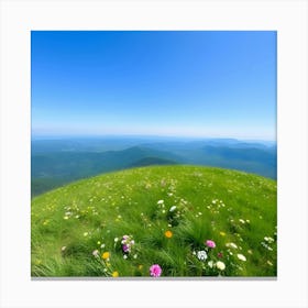 Wildflowers On A Mountain Canvas Print