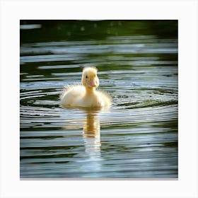 Firefly Cute Baby Ducklings Swimming In Serene Lake 23439 (2) Canvas Print