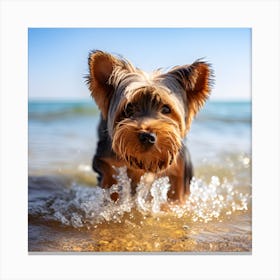 Yorkshire Terrier 1 Canvas Print