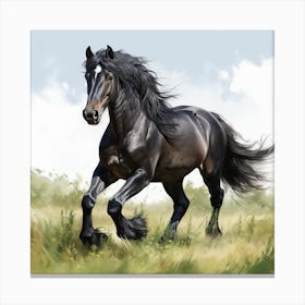 Black Stallion Galloping In Meadow 2 Canvas Print