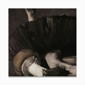 Mushroom Canvas Print