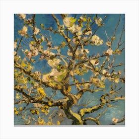 Blossoming Almond Tree 7 Canvas Print