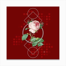 Vintage Centifolia Roses Botanical with Geometric Line Motif and Dot Pattern n.0076 Canvas Print