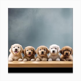 Puppy Stock Videos & Royalty-Free Footage 1 Canvas Print