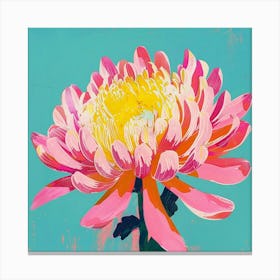 Chrysanthemum 1 Square Flower Illustration Canvas Print