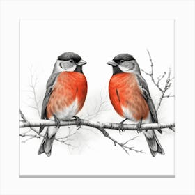 Two Birds Perched On A Branch 1 Canvas Print