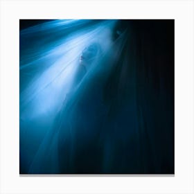 Spirit Trapped Screaming Partially Visible Through A Delicate Translucent Veil Ethereal Essence (1) Canvas Print