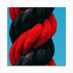 Black And Red Rope Canvas Print