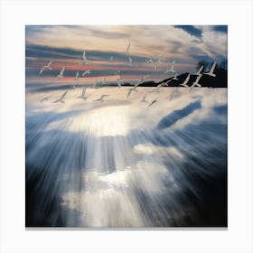 Chasing The Light (I) Canvas Print