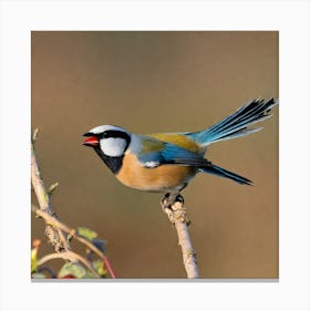 Blue Tit 84 Canvas Print