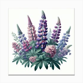 Lupins Canvas Print