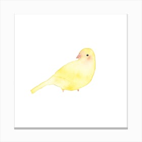 Blushing Bird Yellow Square Canvas Print