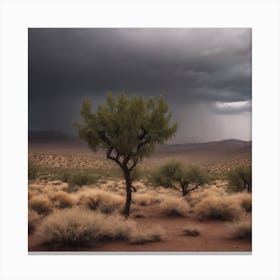 Stormy Sky In The Desert Canvas Print