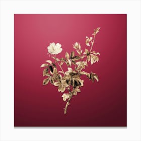 Gold Botanical White Downy Rose on Viva Magenta n.4450 Canvas Print