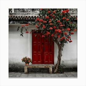 Red Door 3 Canvas Print