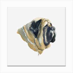 The English Mastiff Canvas Print