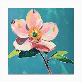 Hellebore 2 Square Flower Illustration Canvas Print