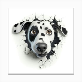 Dalmatian Canvas Print