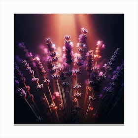 Lavender Flowers On A Dark Background Canvas Print