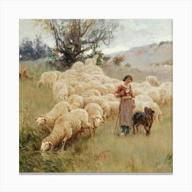 Sheeps 2 Canvas Print