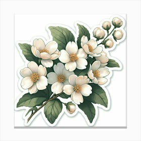 White flowers 1 Canvas Print