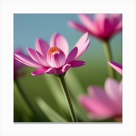 Pink Lotus Flower Canvas Print