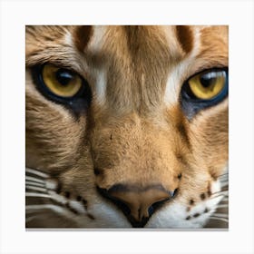 Close Up Of A Lynx Canvas Print