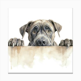 Dog Peeking Over The Wall 9 Canvas Print