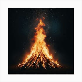 Fire In The Dark Canvas Print