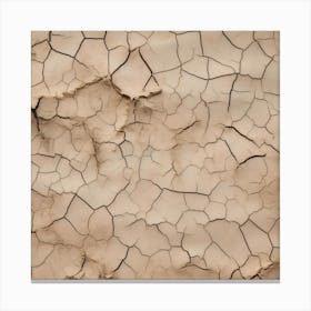 Cracked Earth 5 Canvas Print