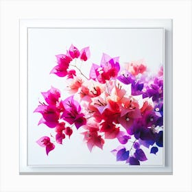 Bougainvillea Canvas Print