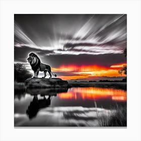 Sunset Lion 1 Canvas Print